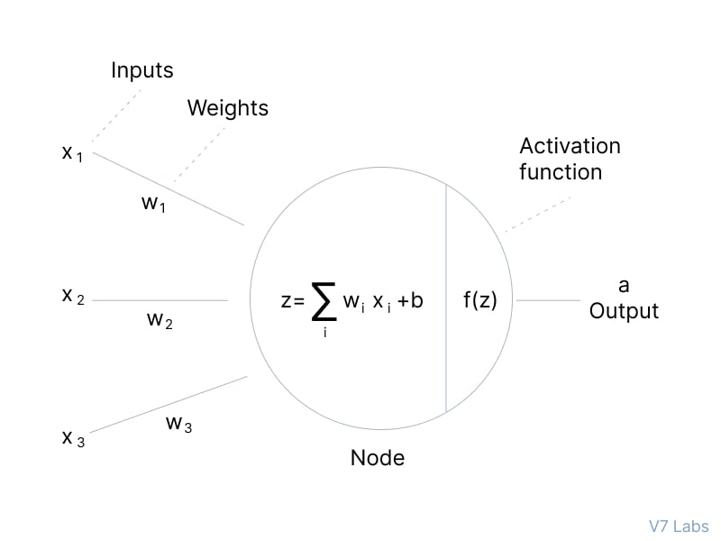 Understanding AI Activation Functions |  Learn CPlusPlus