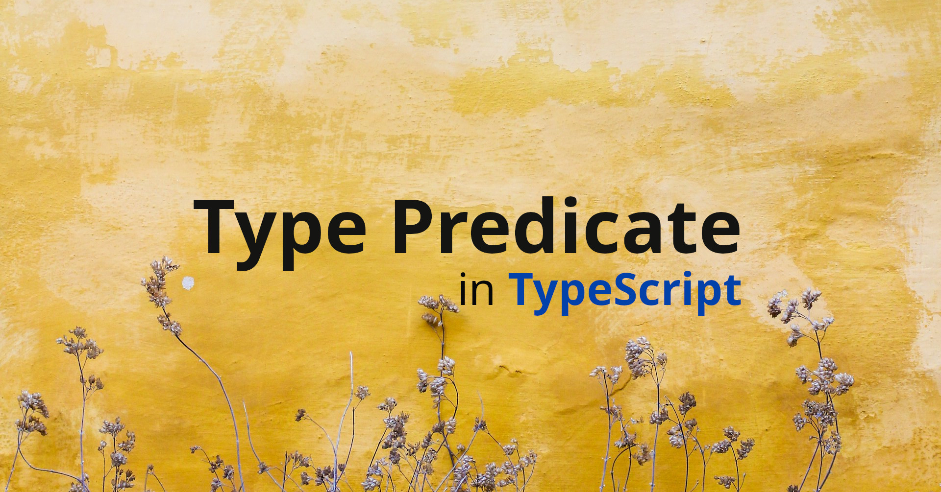 What are Type Predicates in TypeScript? Explained with Code examples