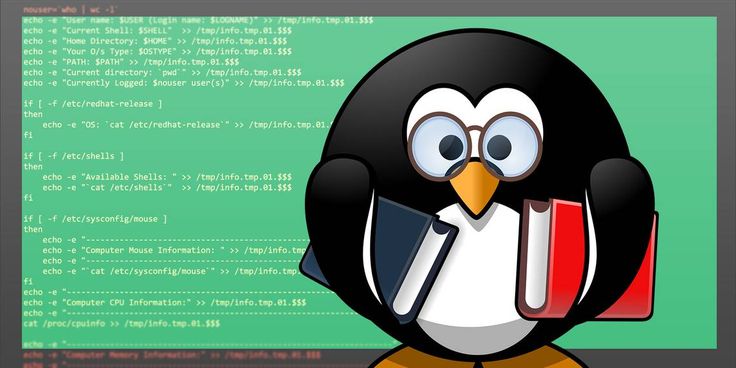 Linux Shell Scripting for Beginners: A Simple Guide