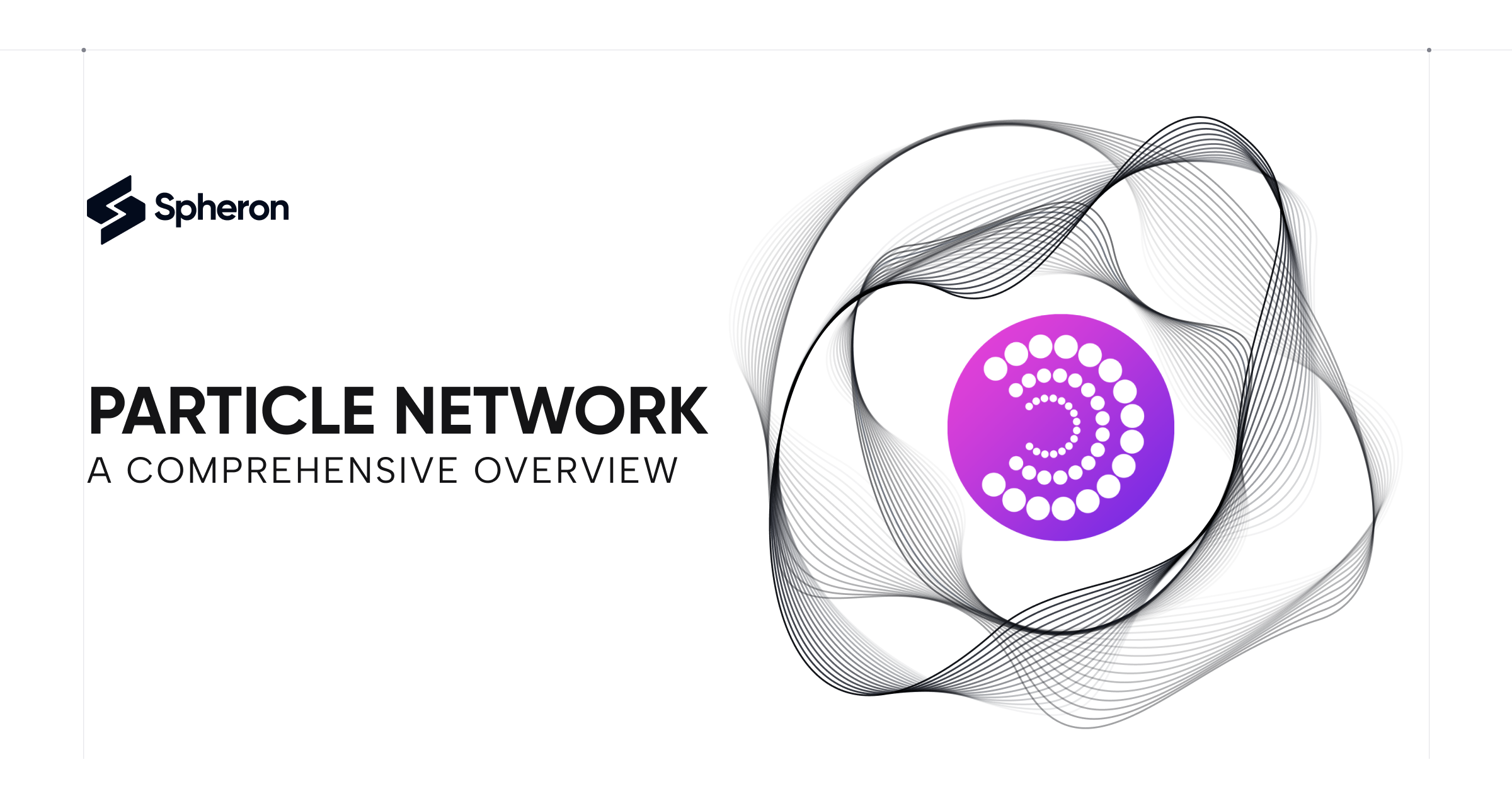 Particle Network: A Comprehensive Overview