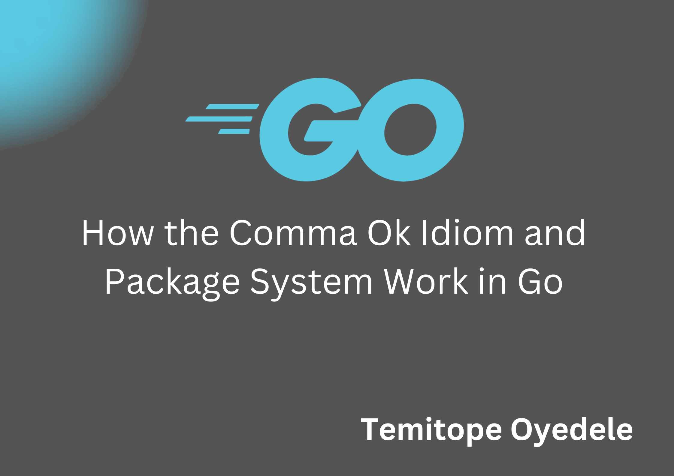 How the Comma Ok Idiom and Package System Work in Go