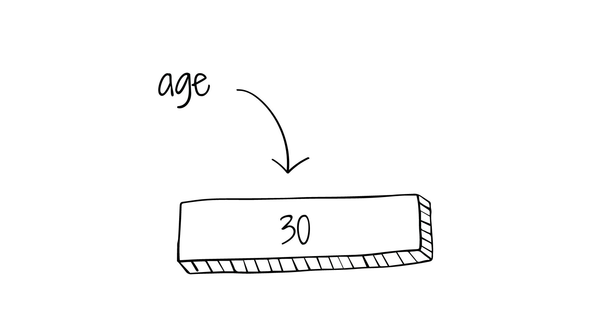 Assigning the age variable