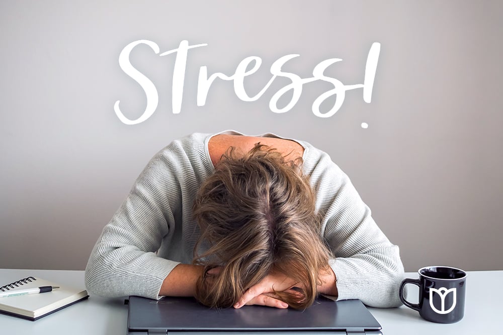 Niva CBD Gummies: Advanced Formula for Pain and Inflammation Relief