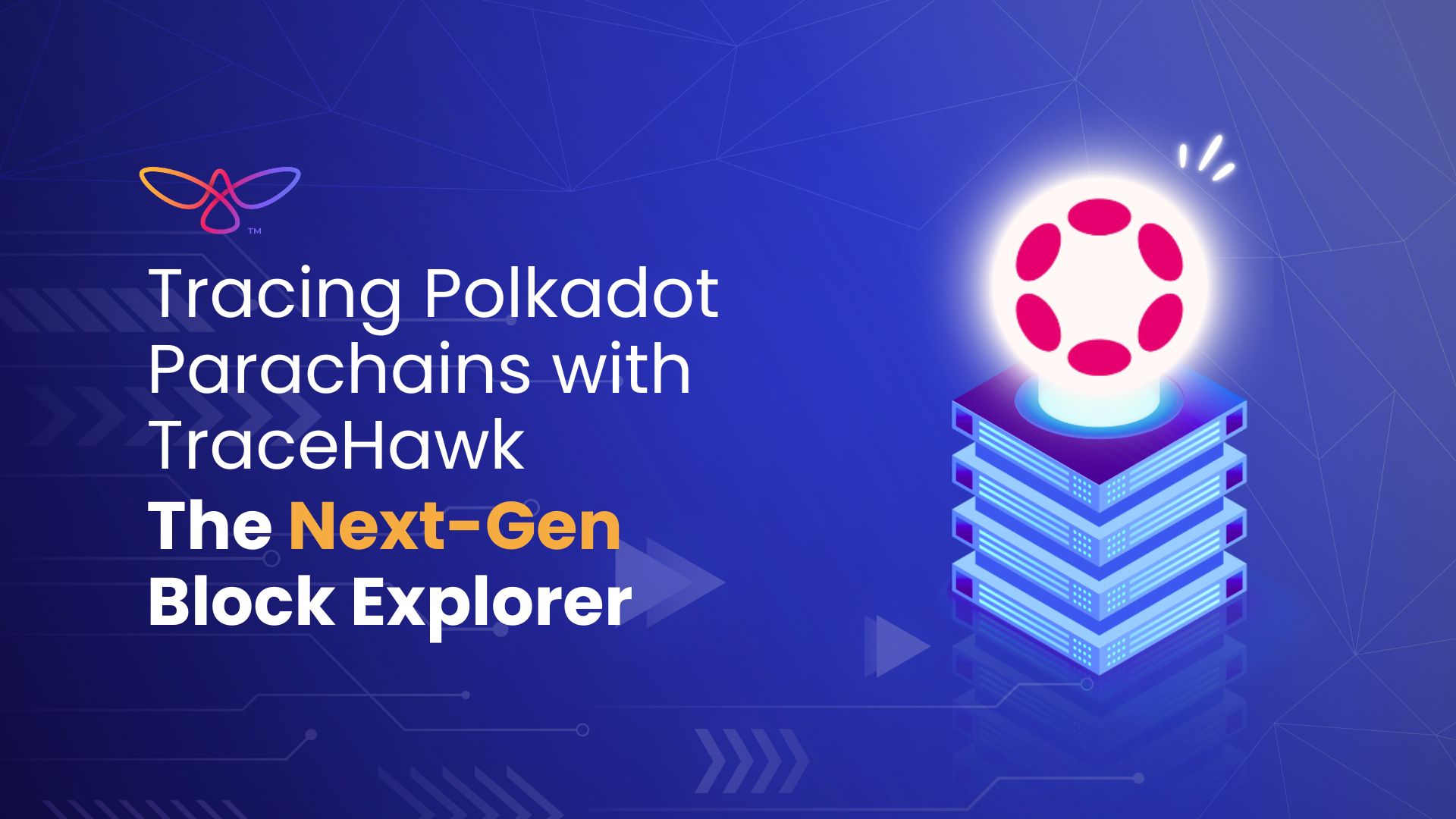 Tracing Polkadot Parachains with TraceHawk: The Next-Gen Block Explorer