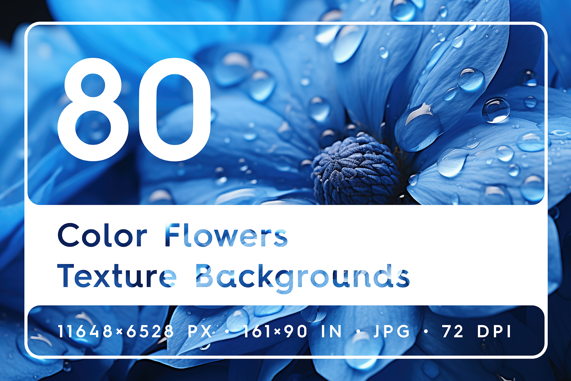 Transform Your Designs with 80 Colorful Floral Texture Backgrounds