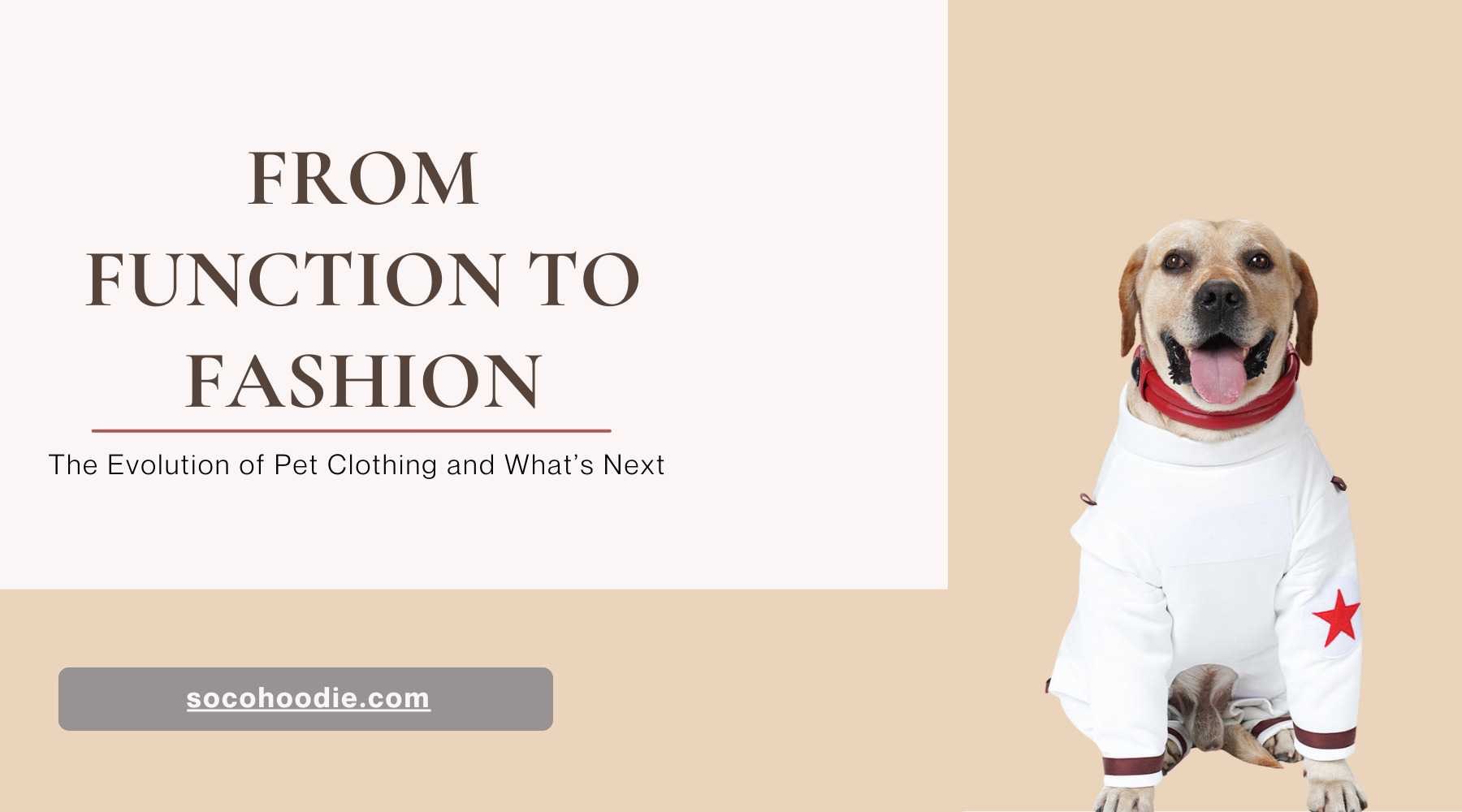 From Function to Fashion