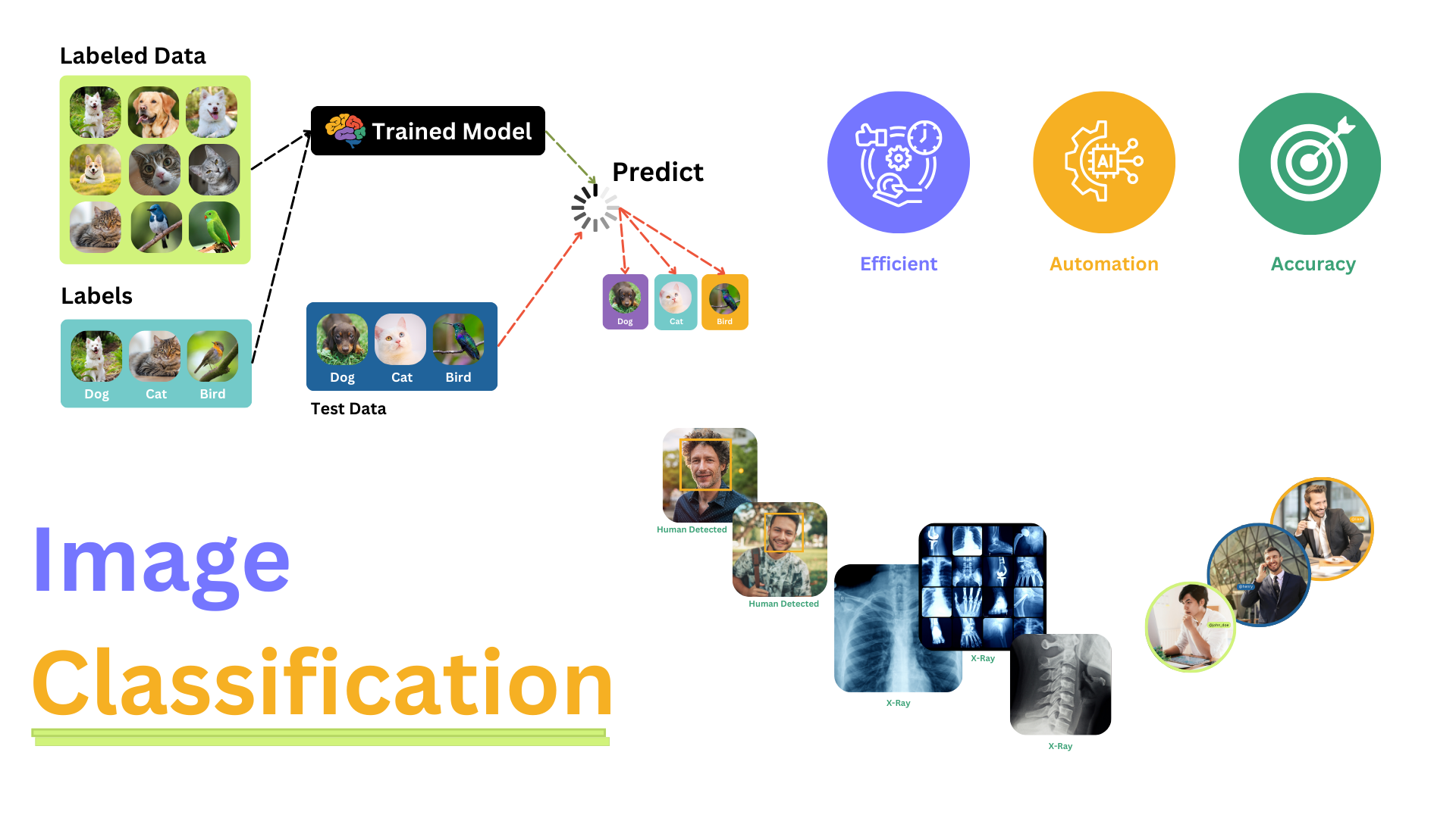 Understanding Image Classification: Basics and Benefits