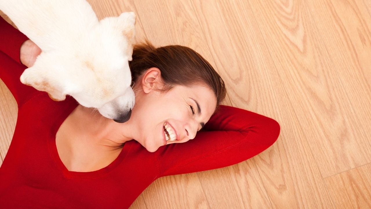 sahibini yalayan bir köpek