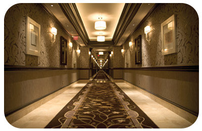 Carpet Care: More Than Meets the Eye