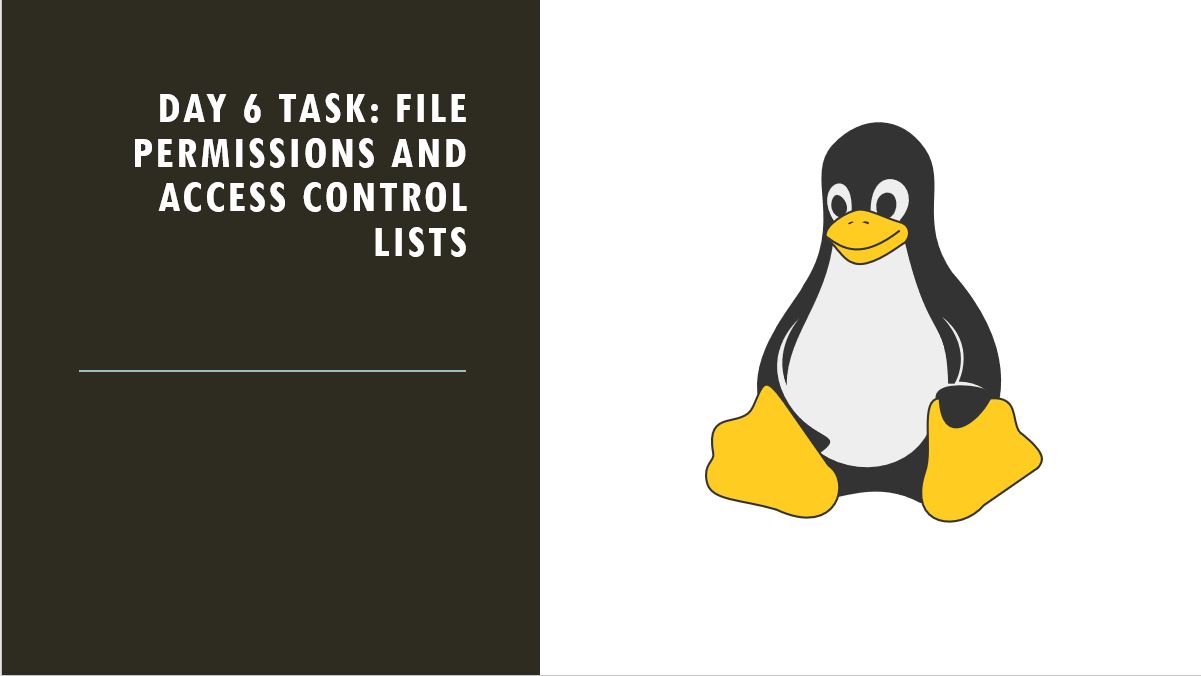 Day 6 Task: File Permissions and Access Control Lists