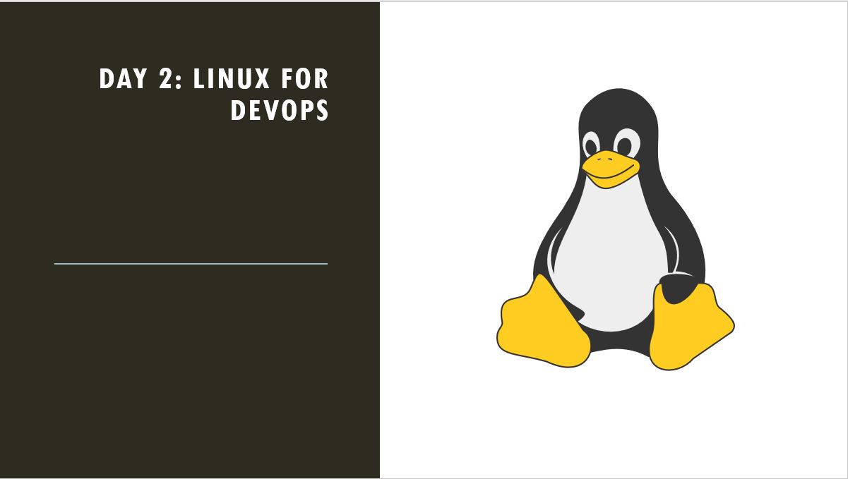 Day 2: Linux For DevOps