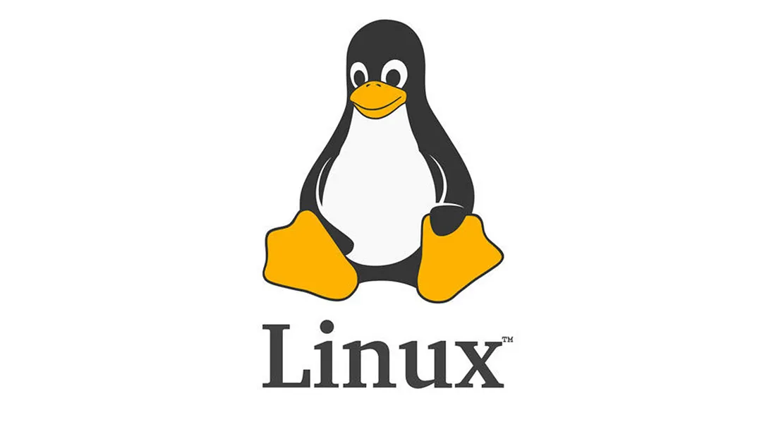 Đôi dòng về file system trong Linux