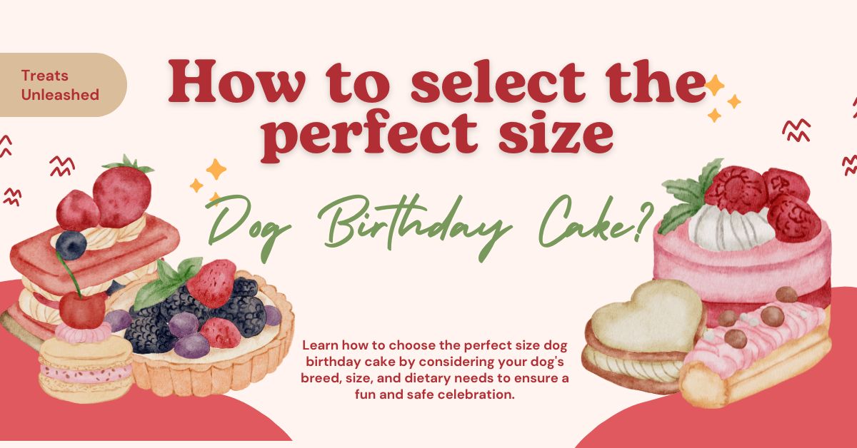 How to Select the Perfect Size Dog Birthday Cake?