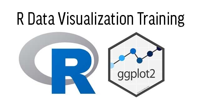 Perfecting Data Visualization Techniques in R