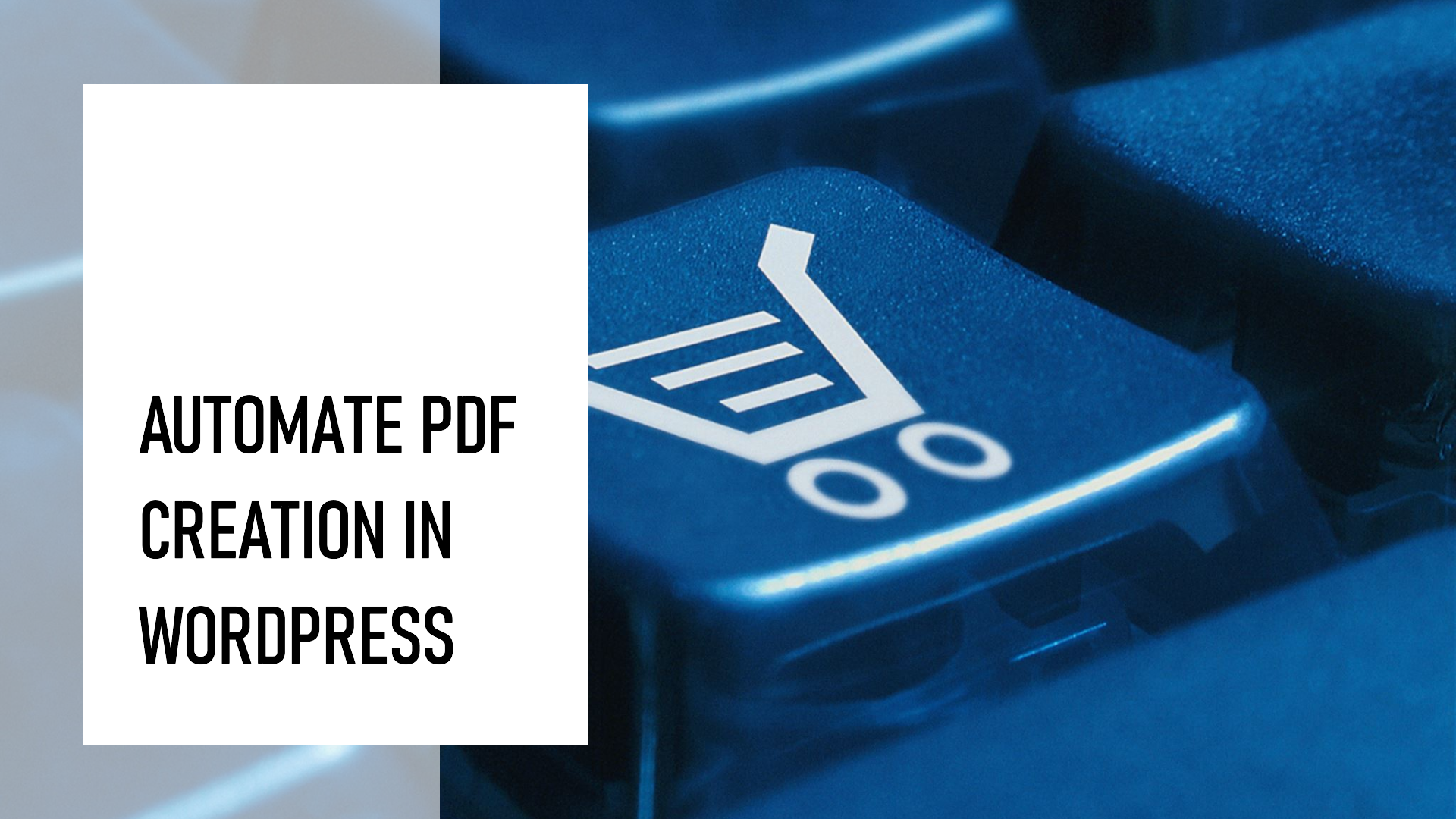 Unlock the Power of PDFs: How to Automate PDF Creation in WordPress