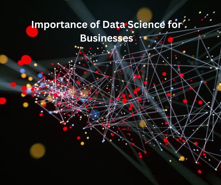 Importance of Data Science for Businesses