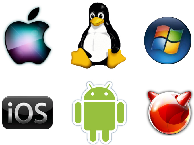 Understanding Operating Systems: The Heart of Your Device