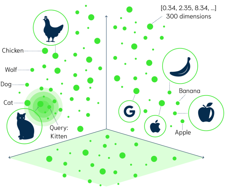 A simplified vector representation, picture credit:  ODSC - Open Data Science | https://odsc.medium.com/a-gentle-introduction-to-vector-search-3c0511bc6771