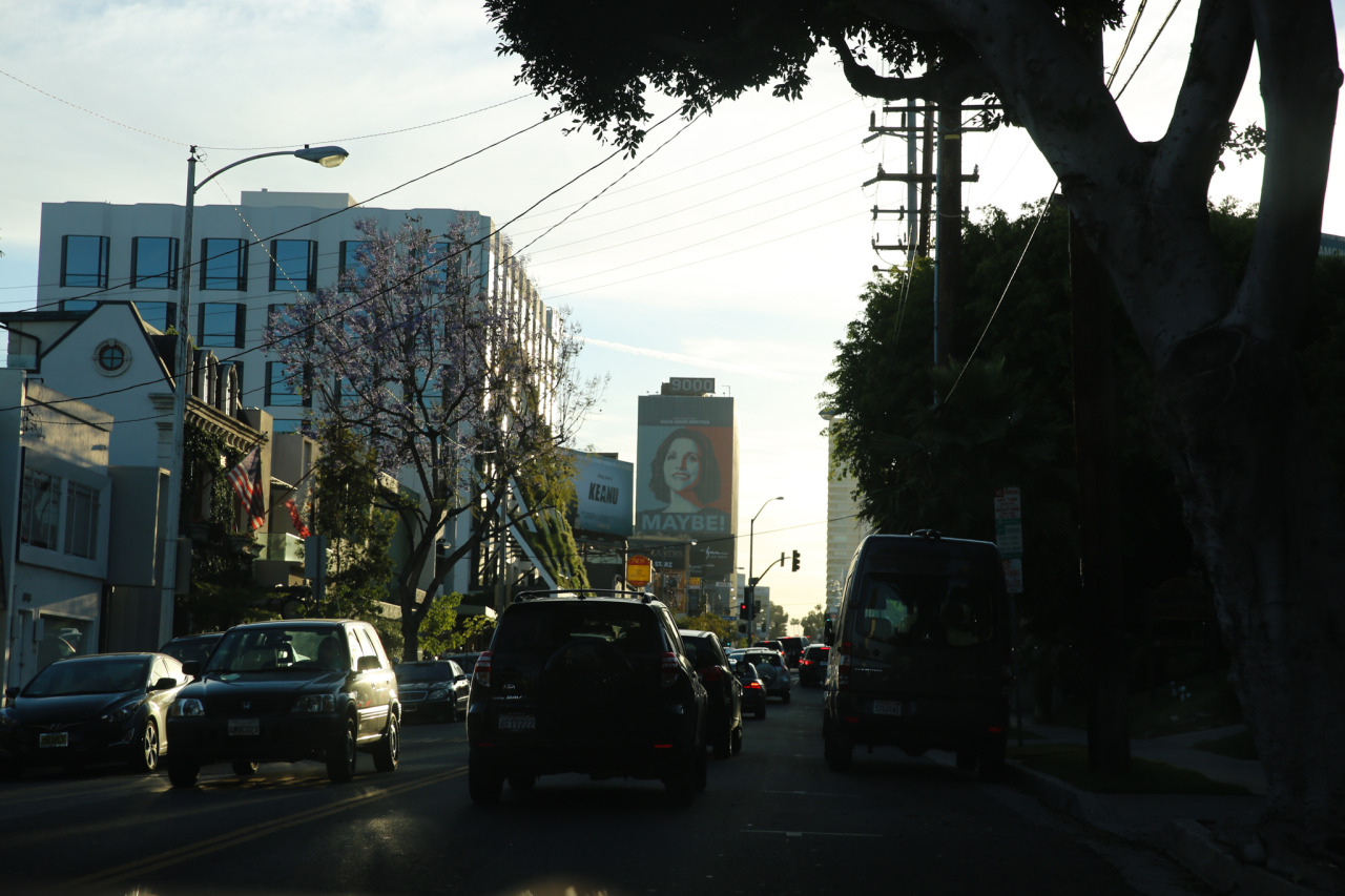 Road Trip to LA: From SLO to Hollywood Highlights