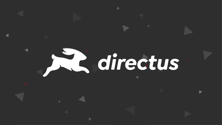Directus Security Best Practices: Safeguarding Your Headless CMS