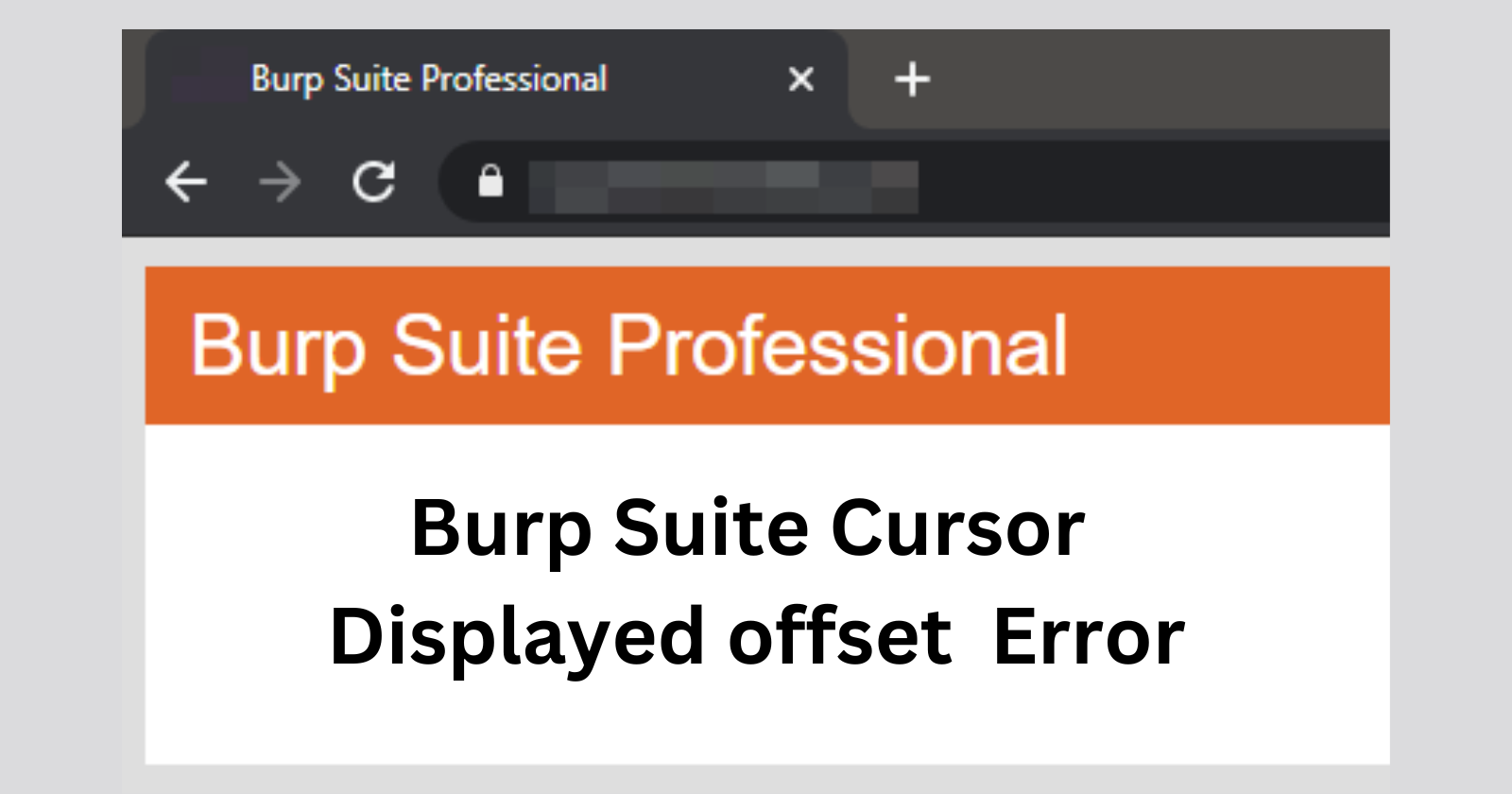 Burp Suite Cursor displayed offset to the right of text in high DPI