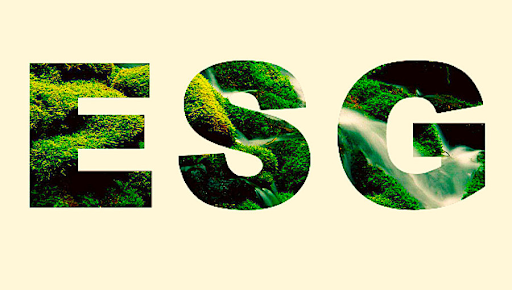 ESG Software Essentials: What You Need for Effective Management