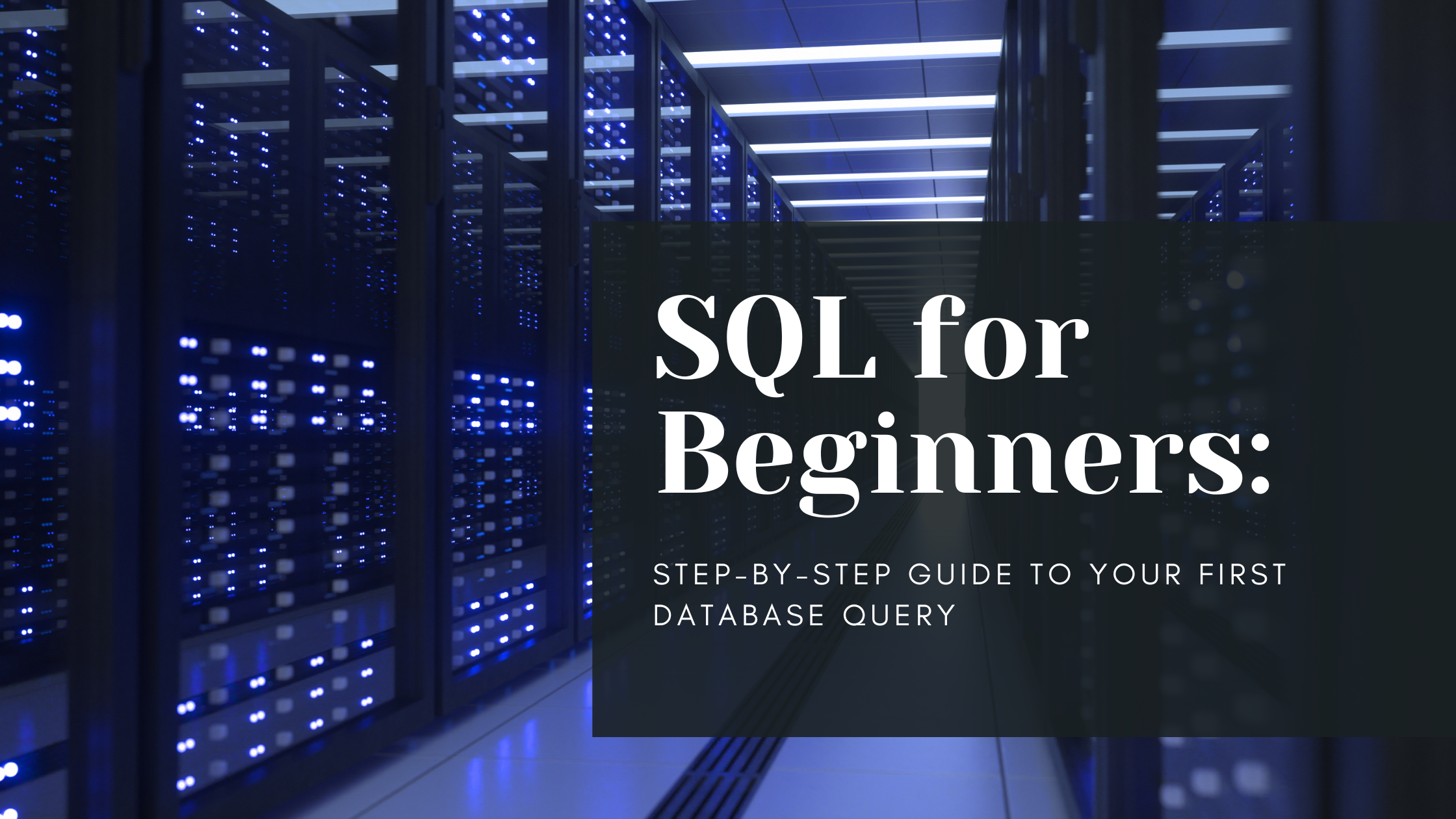 SQL for Beginners: Step-by-Step Guide to Your First Database Query