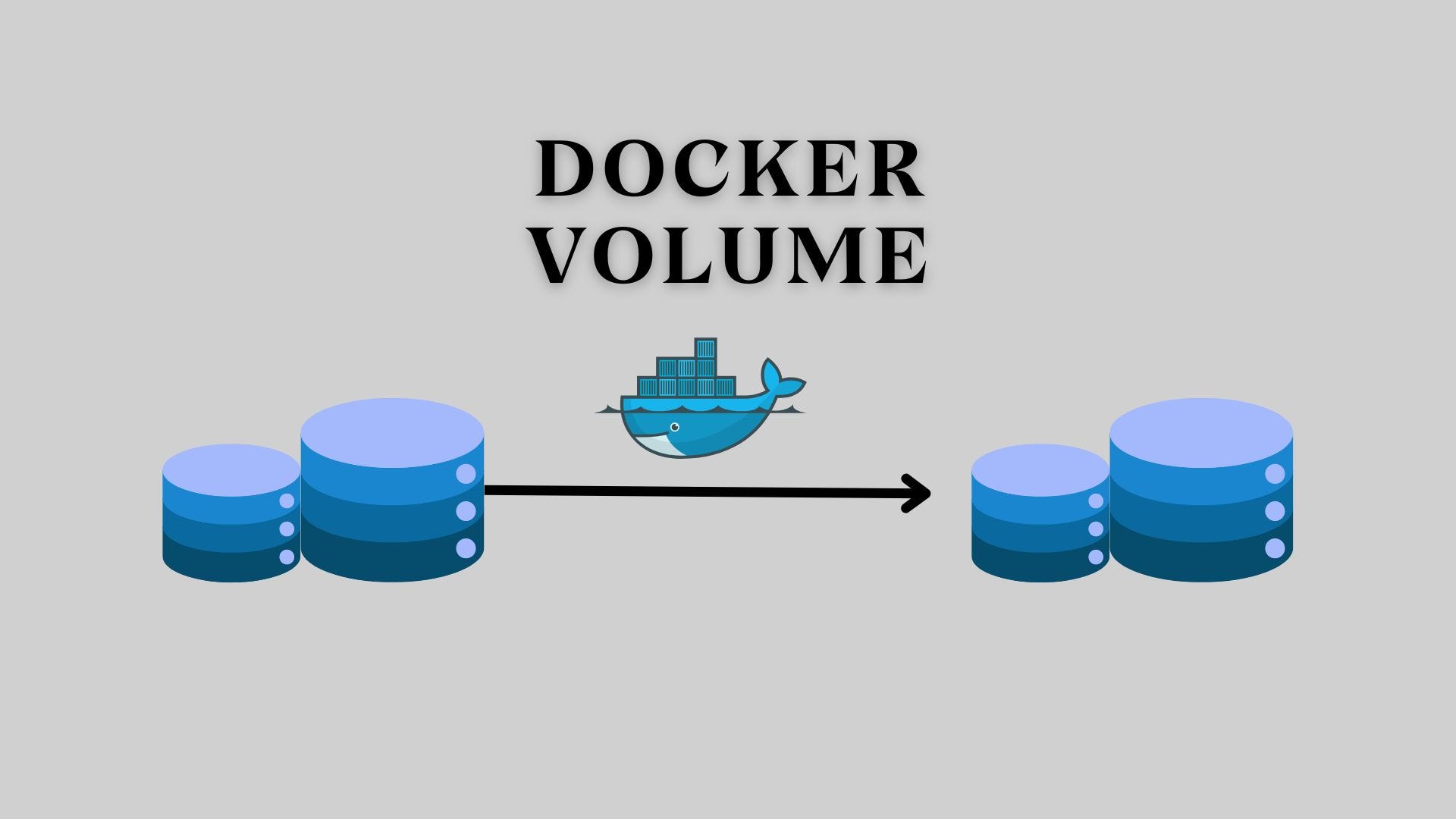 Docker Volumes.