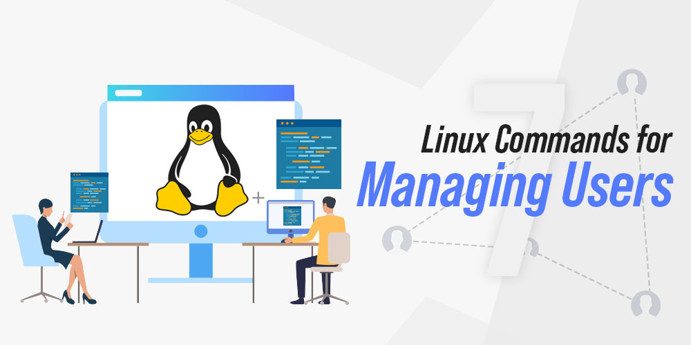 Essential Linux Commands for User and File Management