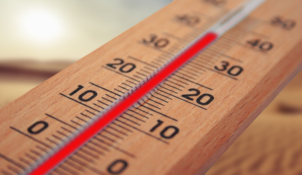 🌡️Recording the CPU Temperature on a SD-WAN edge🥵