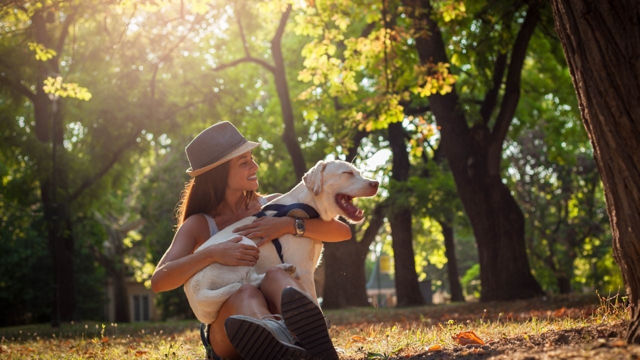 mutlu bir köpek ve sahibi