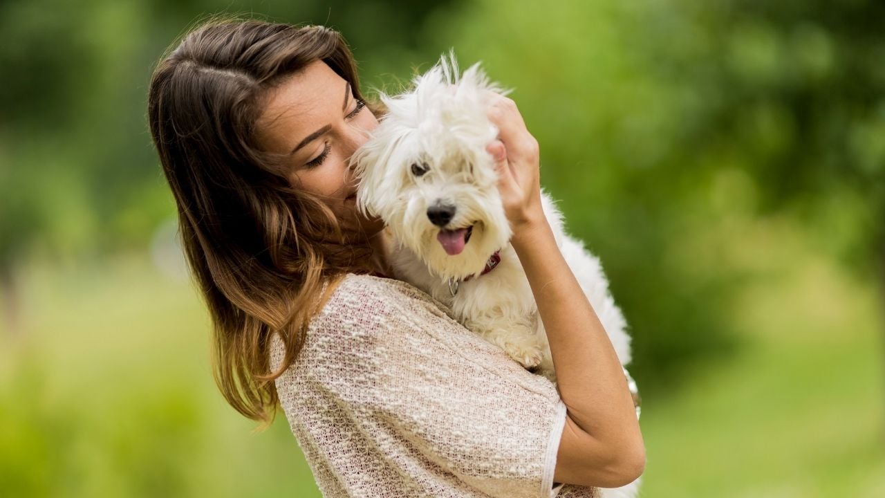 başından sevilen bir köpek ve sahibi