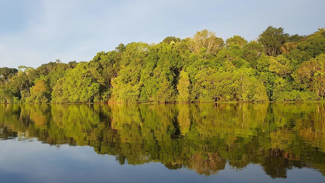 O Papel da Inteligência Artificial no Pagamento de Serviços Ecossistêmicos de Conservação Florestal