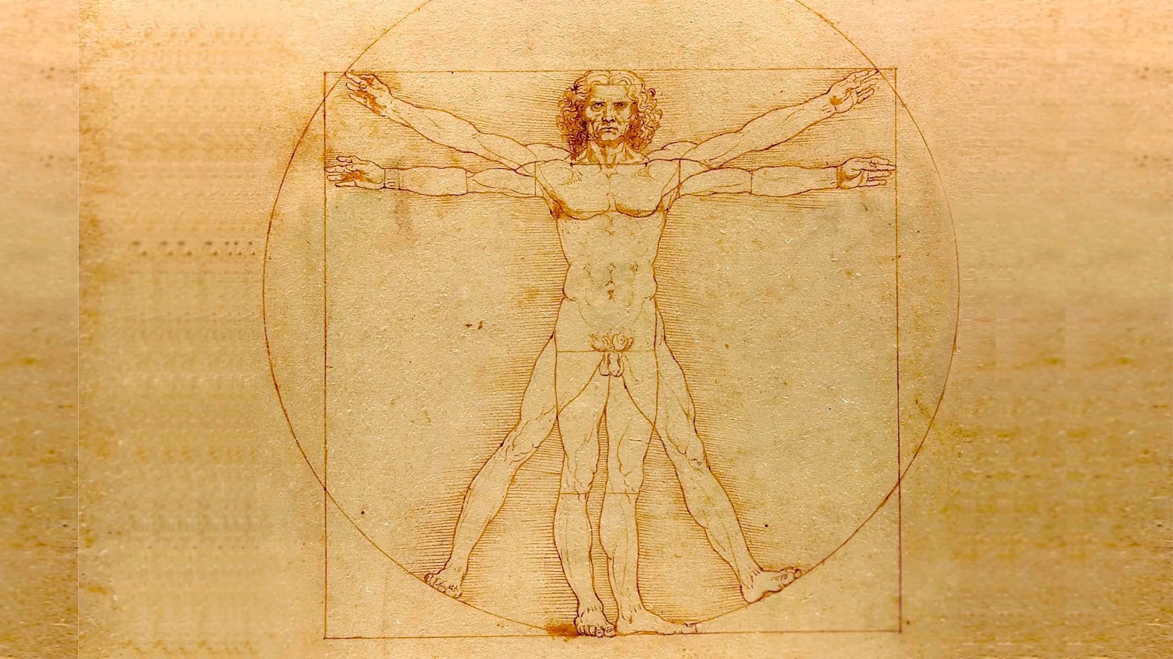 ¿Quién fue Vitruvio en la arquitectura?