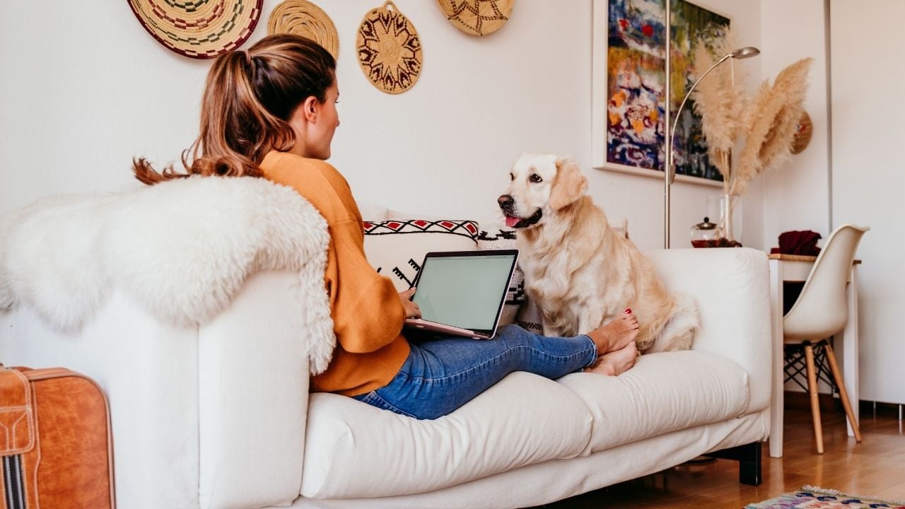 köpek ve sahibi evde