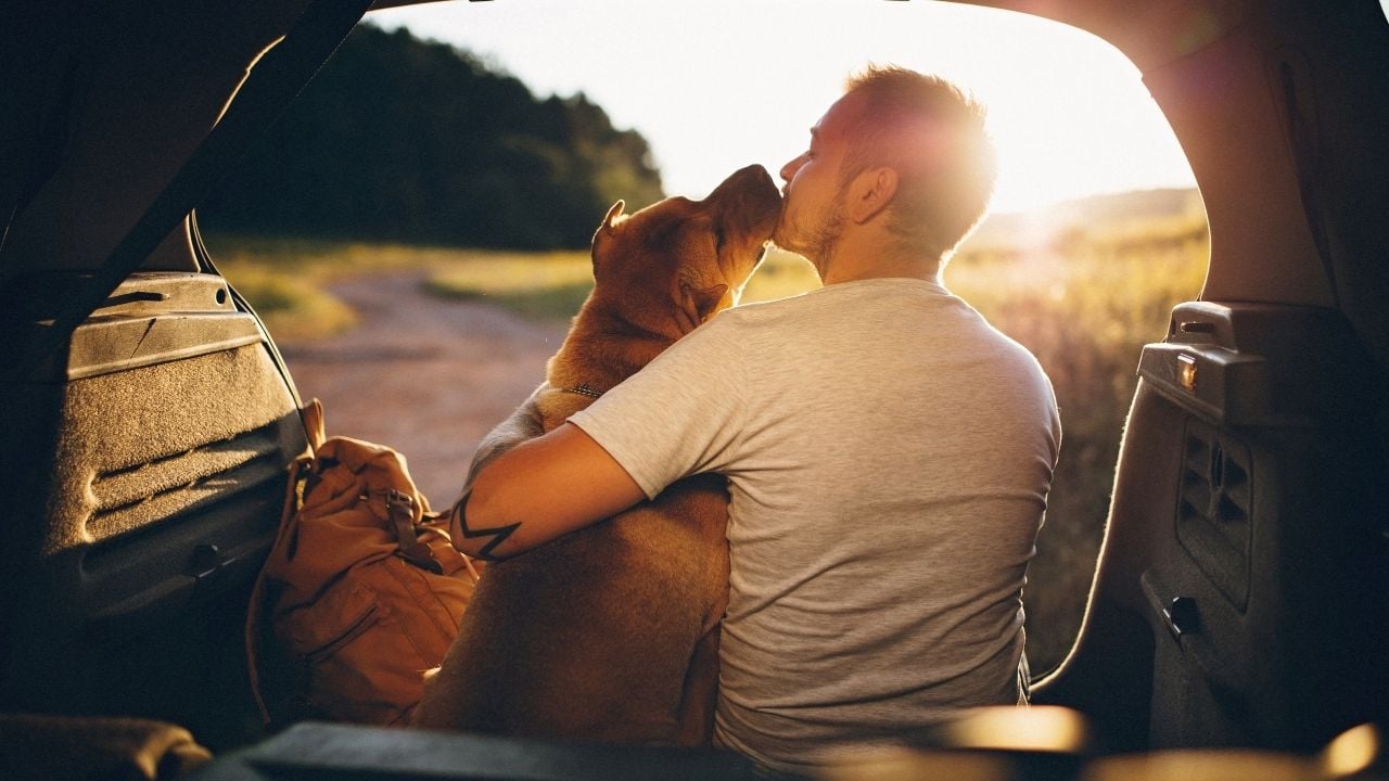 köpeğine sarılan bir adam