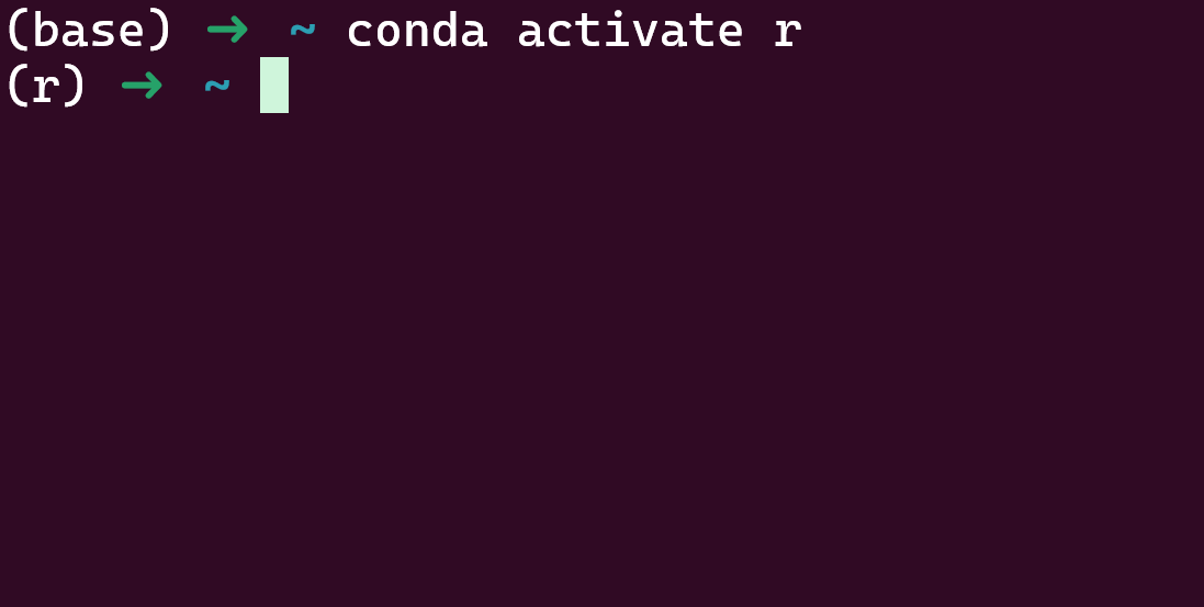 activate conda env