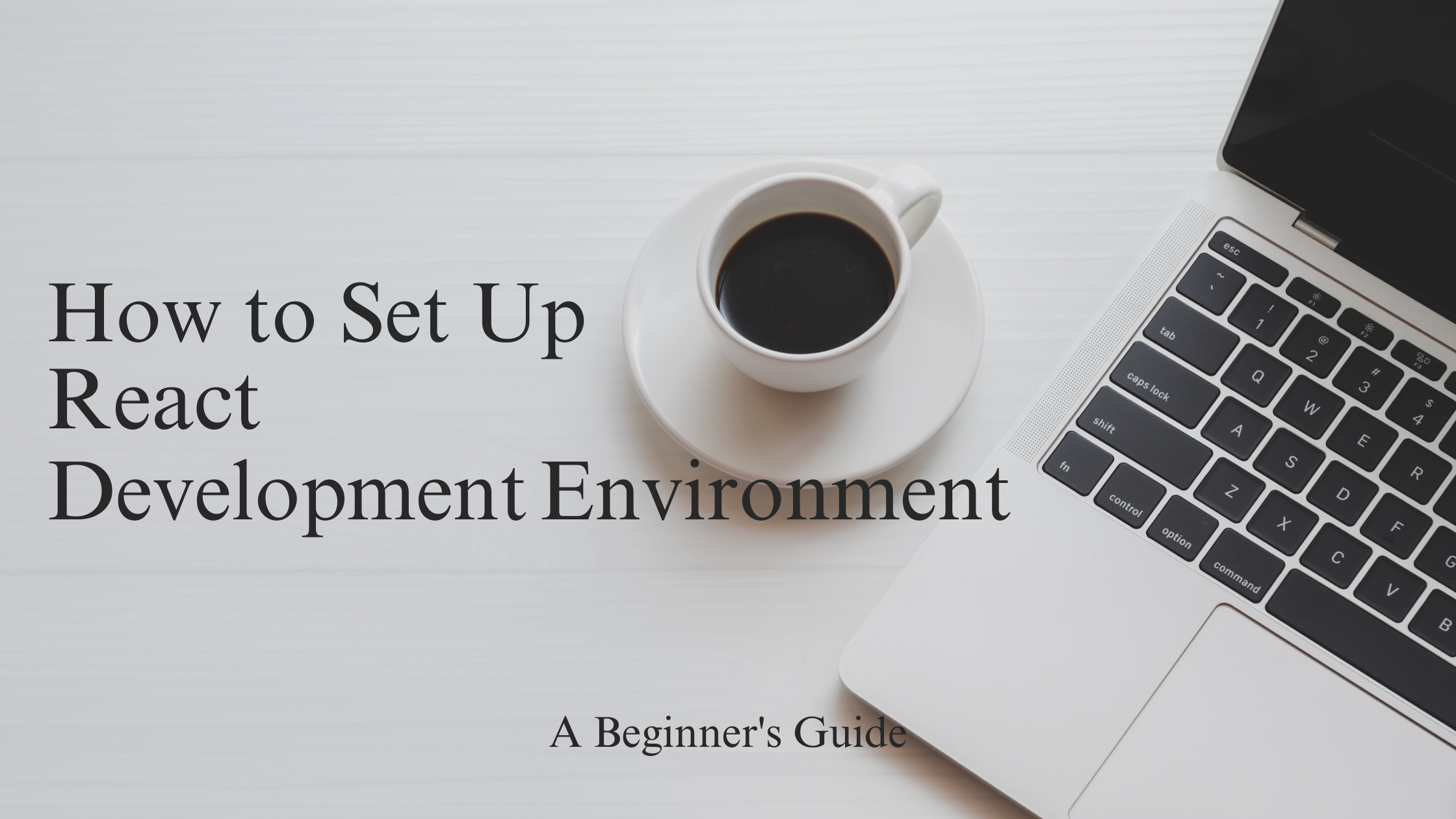How to Set Up a React Development Environment: A Beginner's Guide