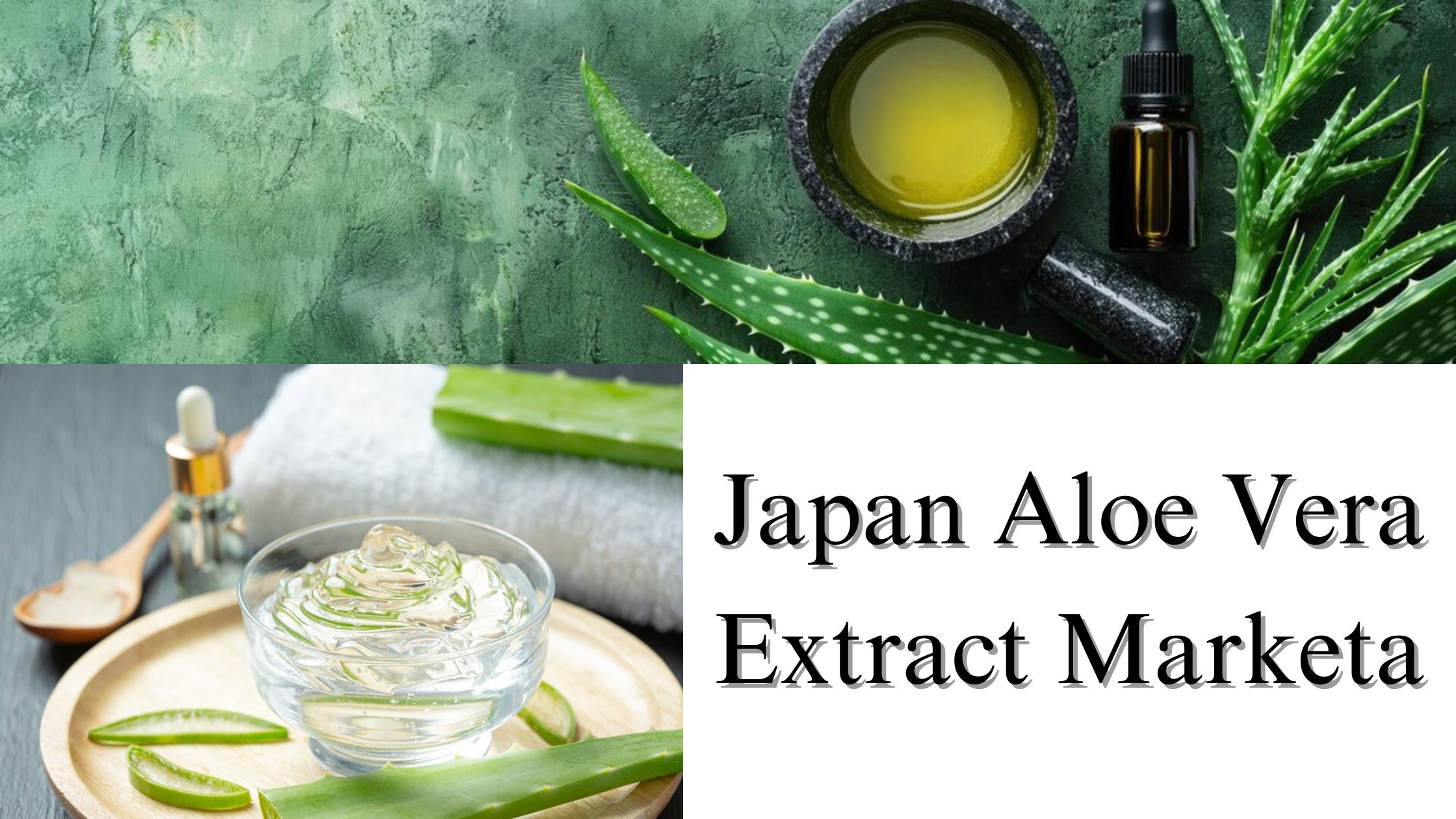 Japan Aloe Vera Extract Market Size, Share, Growth Forecast by 2032