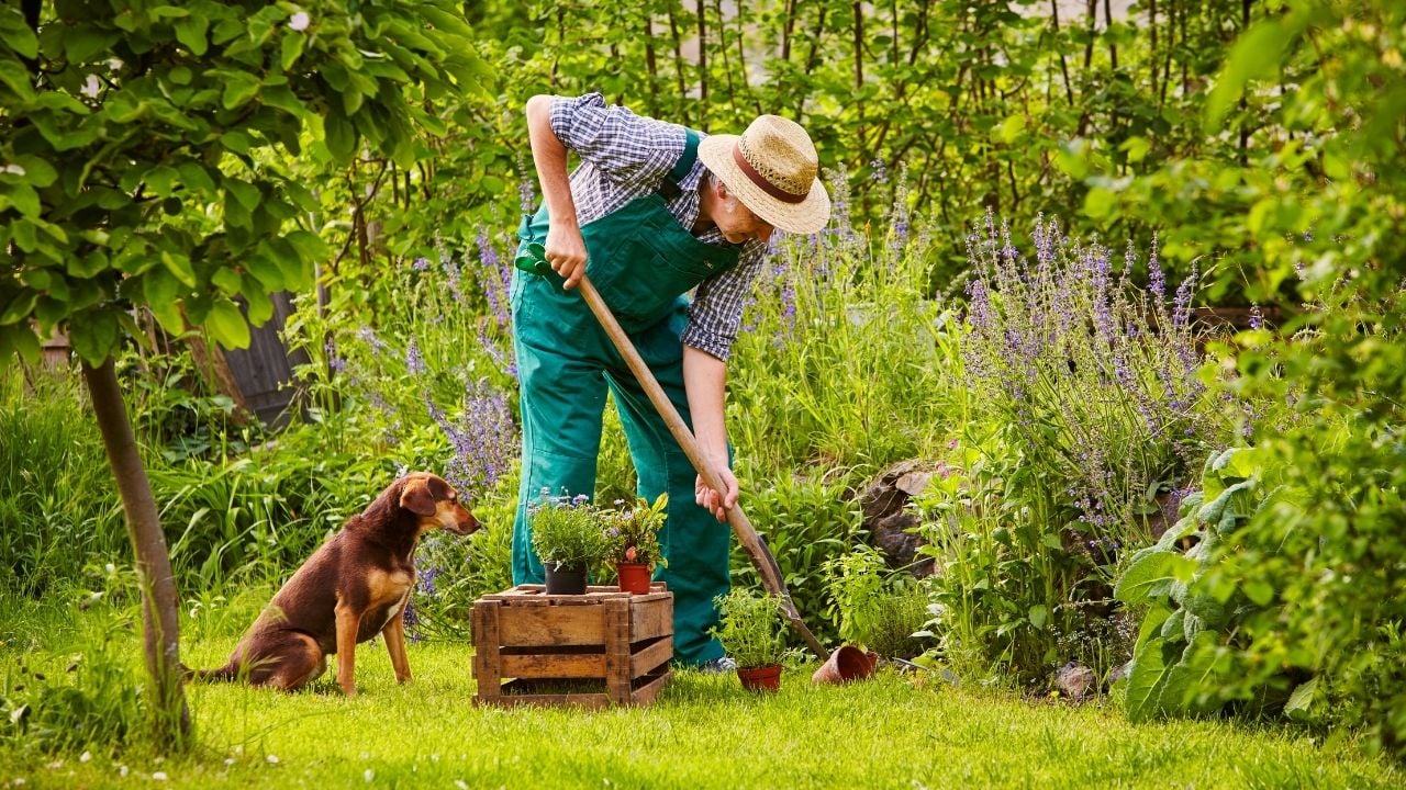 bir bahçıvan ve köpek