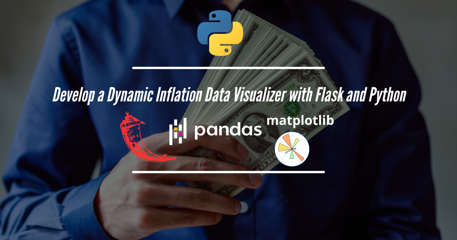 Develop a Dynamic Inflation Data Visualizer with Flask Python Matplot Pandas