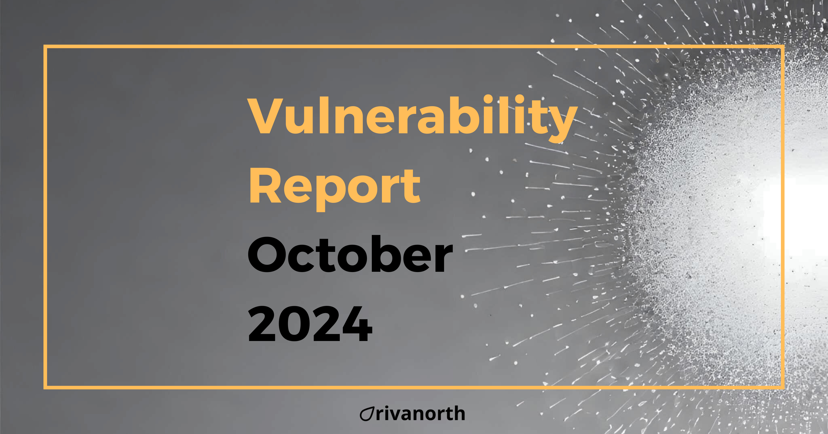 Vulnerability Report: October 2024