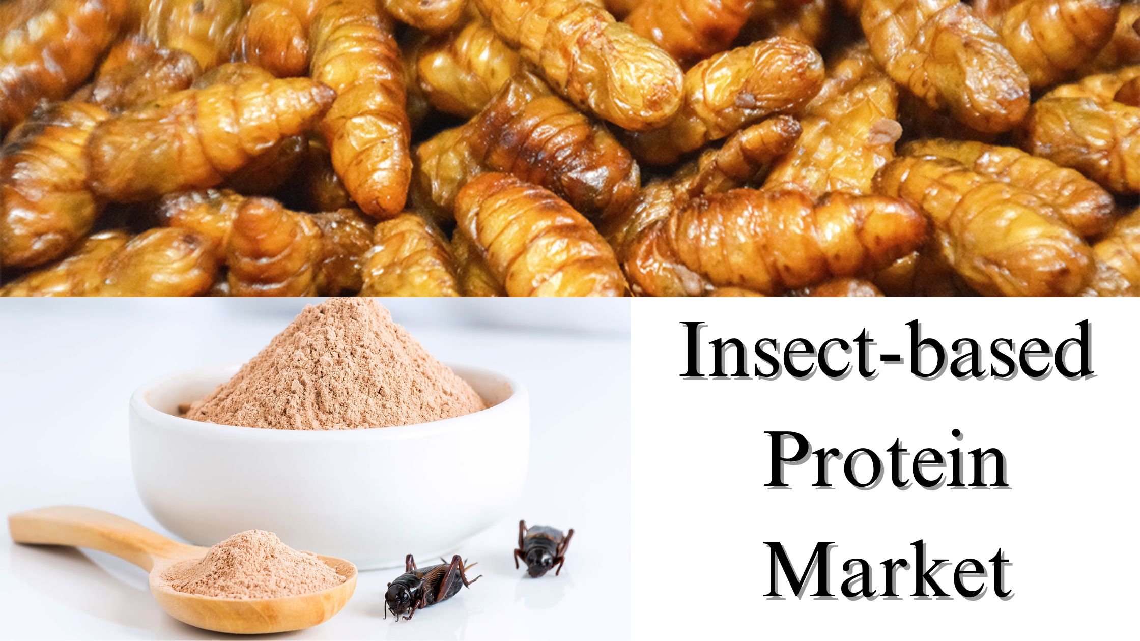 Insect-based Protein Market Size, Share, Growth Forecast Through 2029