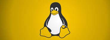 Why Every Programmer Should Embrace Linux (or Unix)