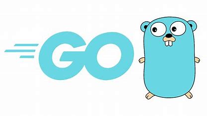 My Journey into Go Programming