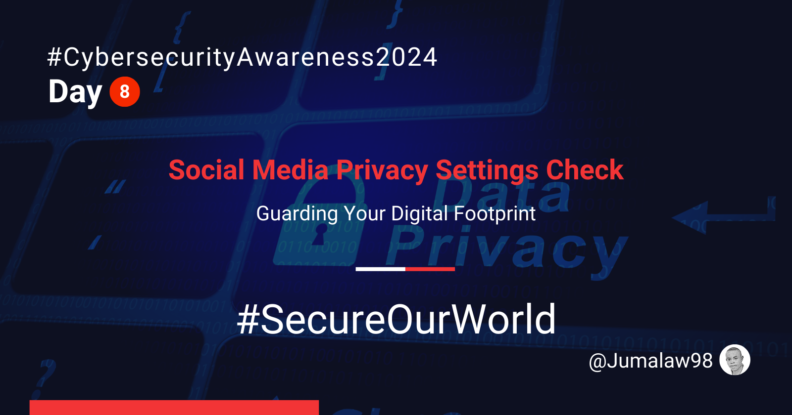 Day 8: Social Media Privacy Settings Check – Guarding Your Digital Footprint