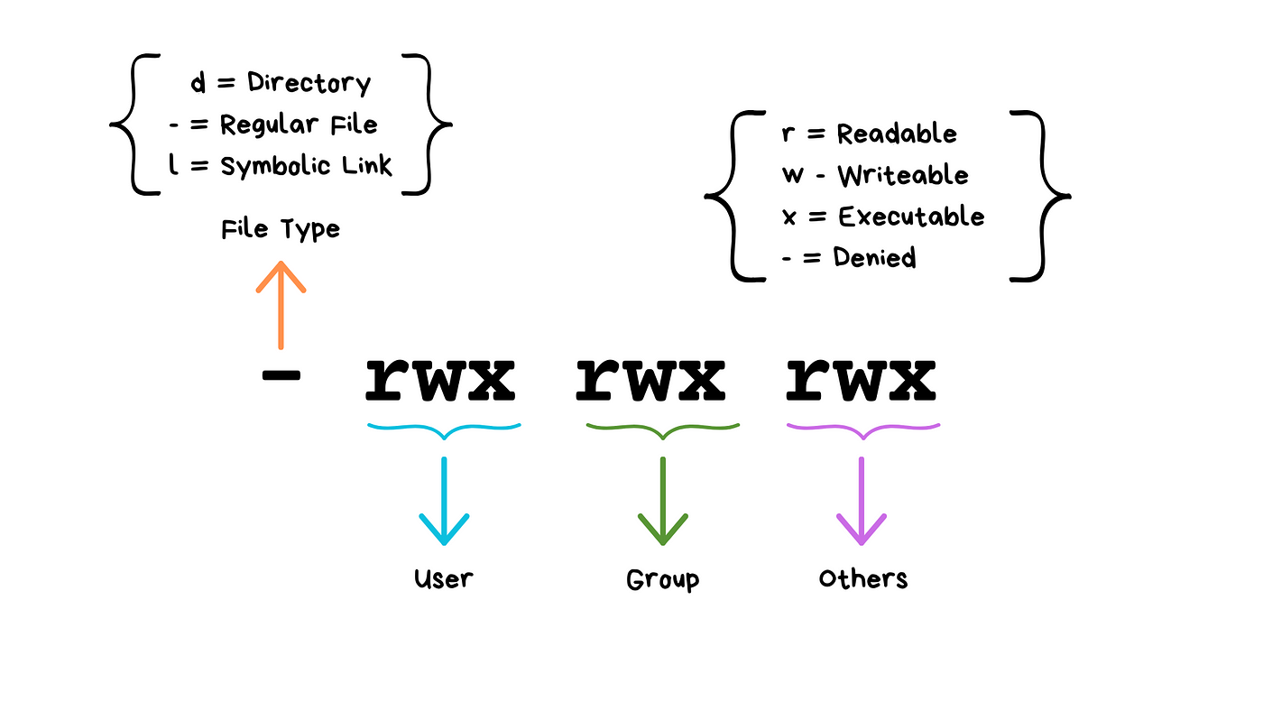 Day 6 Task: File Permissions and Access Control Lists