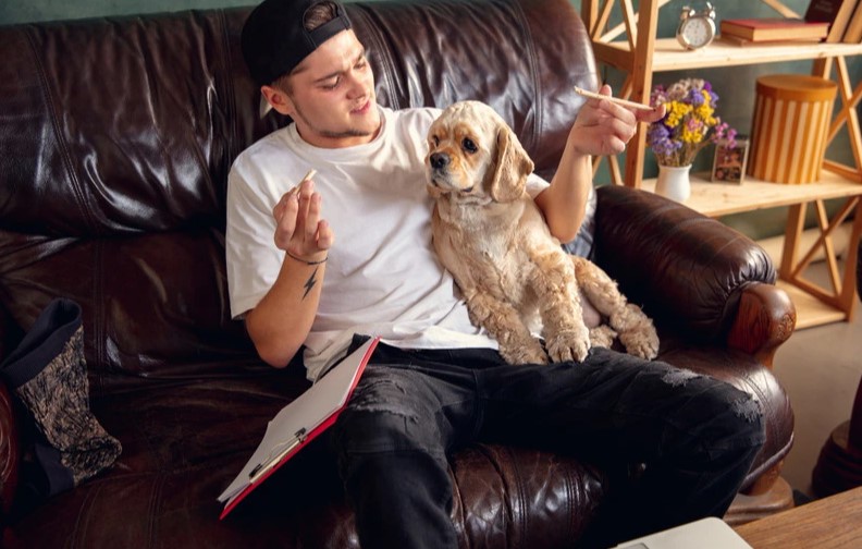 Essential Tips for Pet Sitting: Ensuring Care & Continuity
