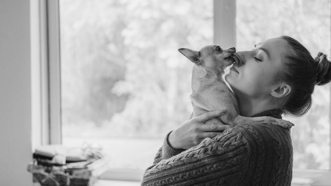 köpek ve sahibi kadın