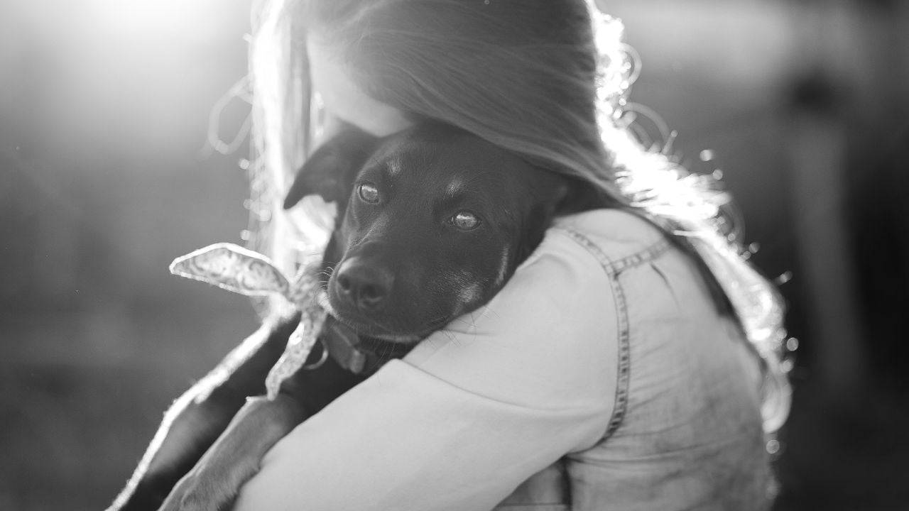kız köpeğine sarılıyor